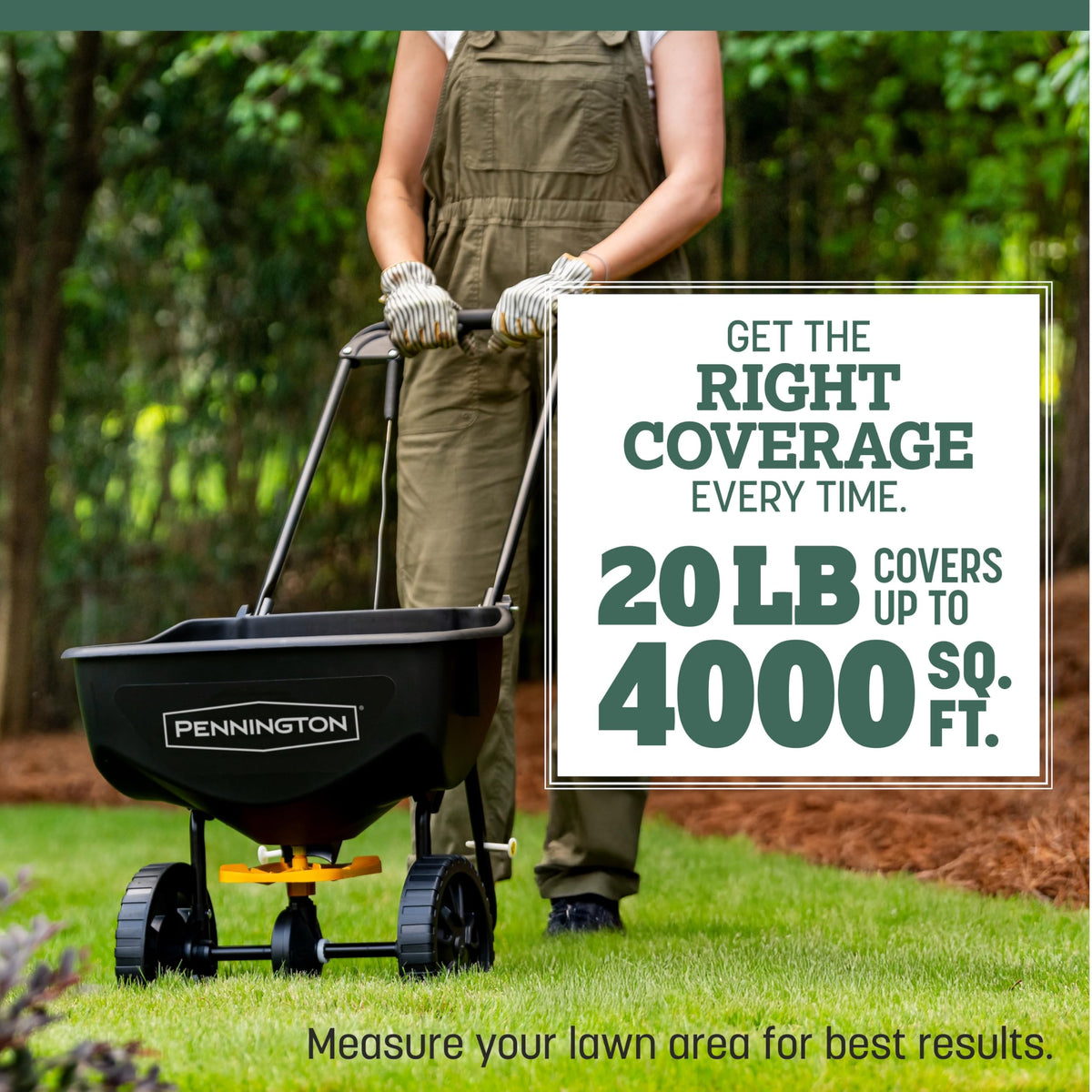 Pennington Kentucky 31 Tall Fescue Grass Seed, Drought-Resistant, 7 LB Father Jim Norris notebooks