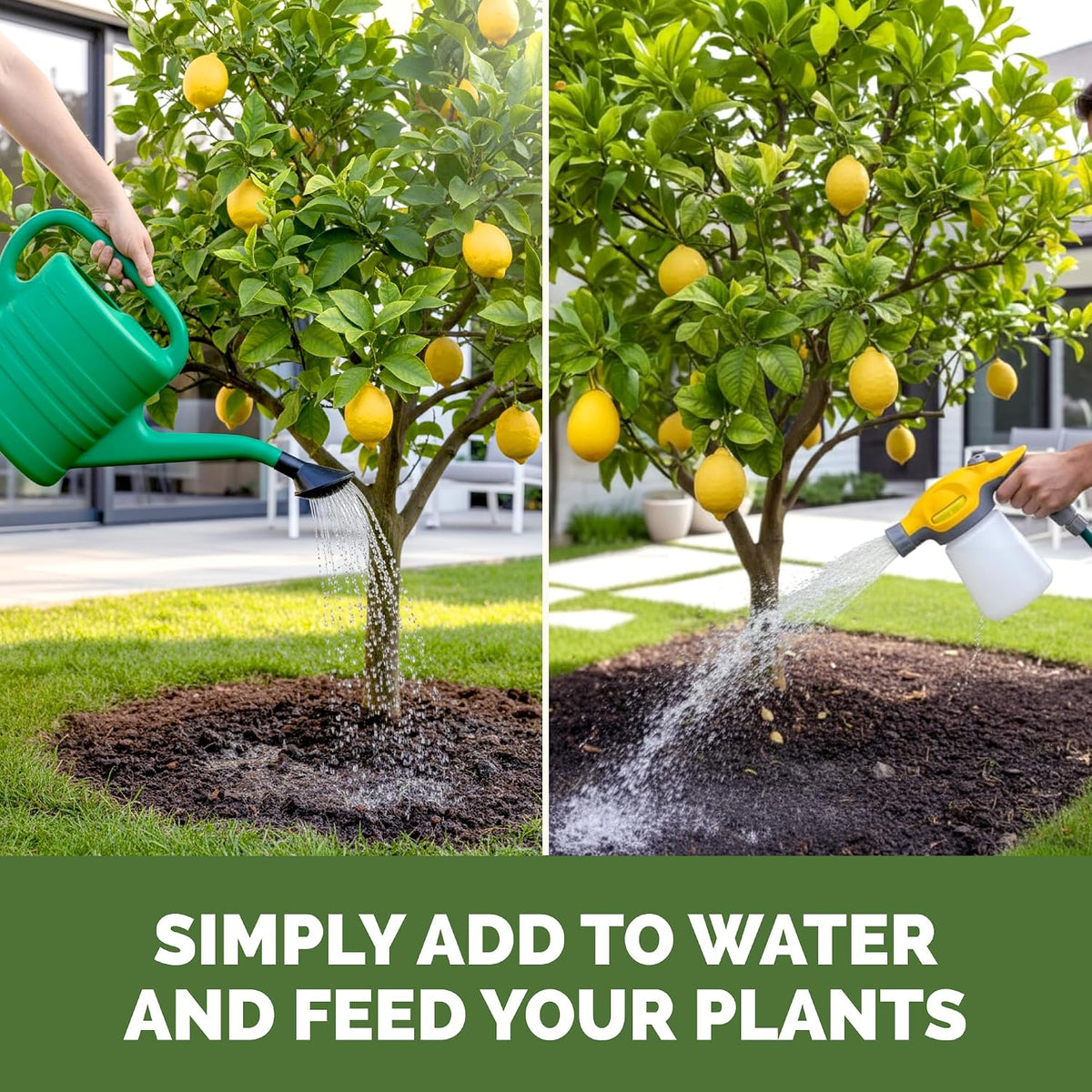 Lemon Tree Fertilizer – Liquid Plant Food for Healthy Growth & Blooms, 8 oz Father Jim Norris notebooks