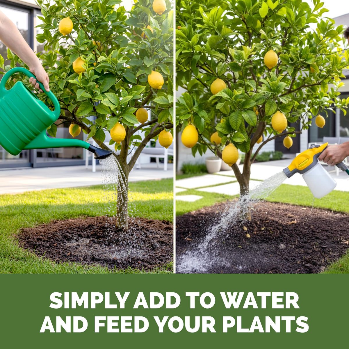 Lemon Tree Fertilizer – Liquid Plant Food for Healthy Growth & Blooms, 8 oz Father Jim Norris notebooks