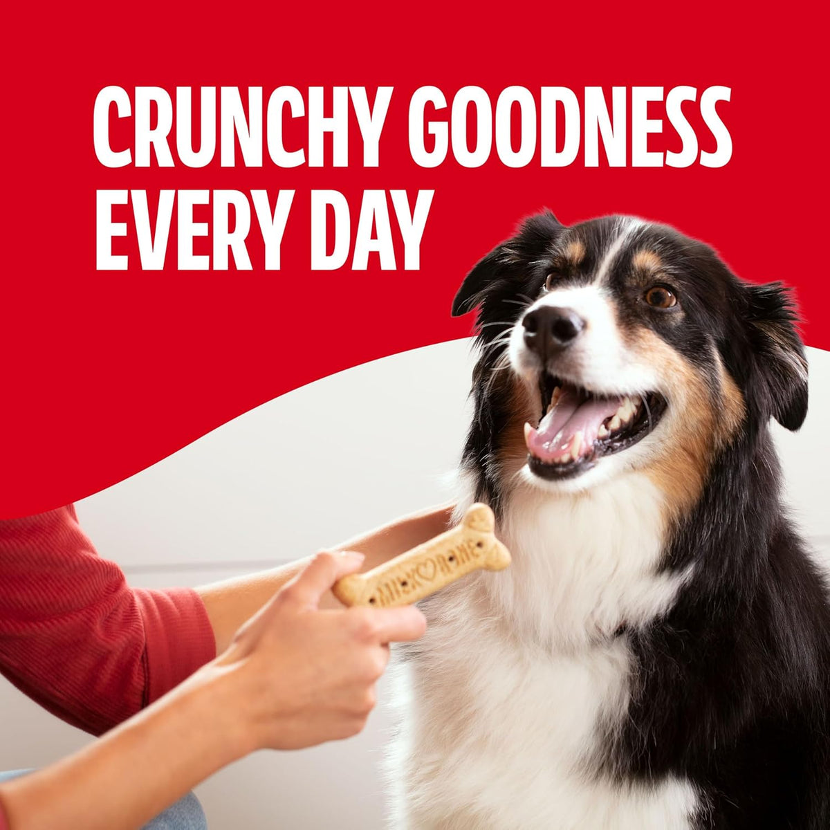 Milk-Bone Original Biscuits Large Dog Treats, 24 Ounce (Pack of 12) Father Jim Norris notebooks
