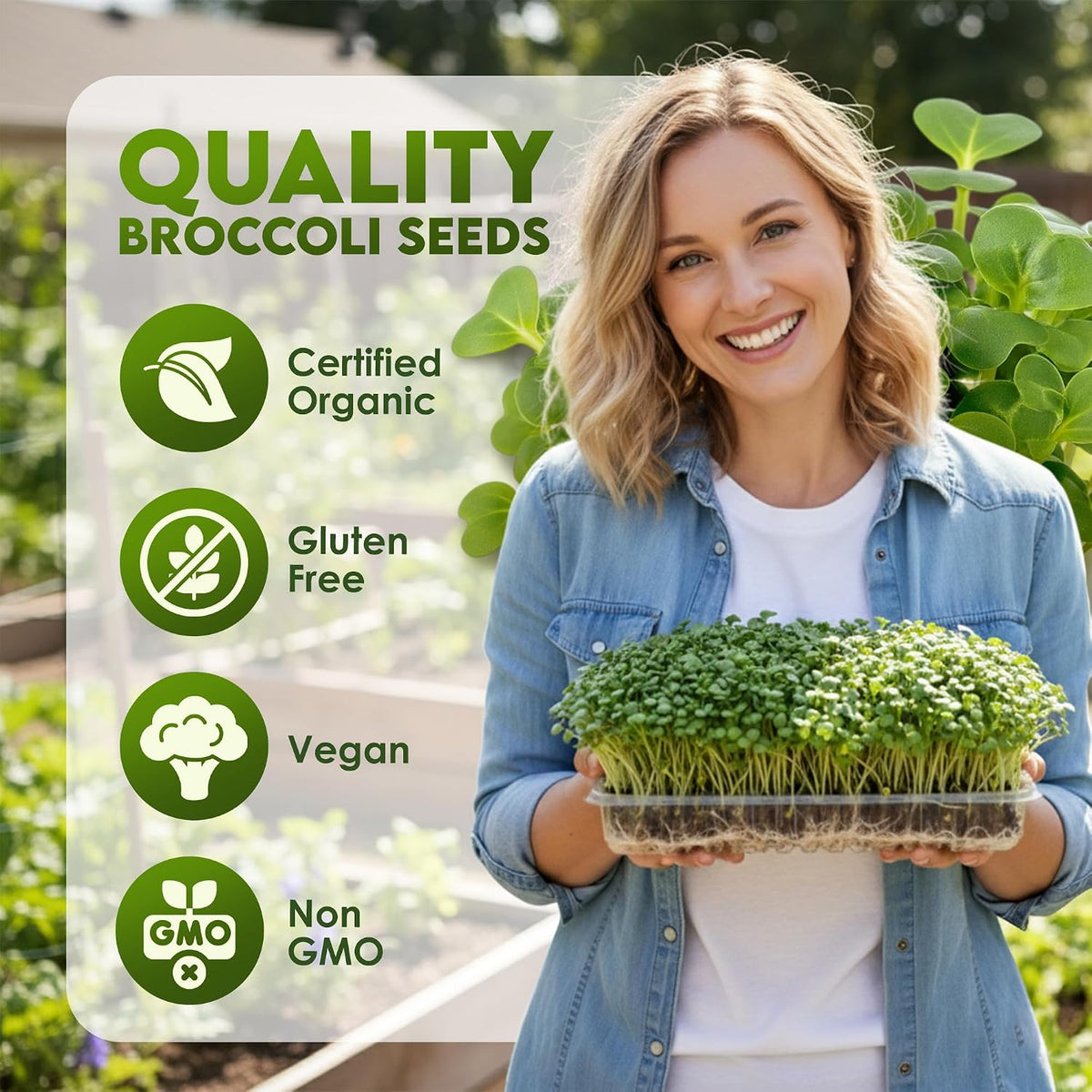 Nature Jim's Sprout Organic Broccoli Seeds – Non-GMO, Sprouting Seeds - 8oz Father Jim Norris notebooks