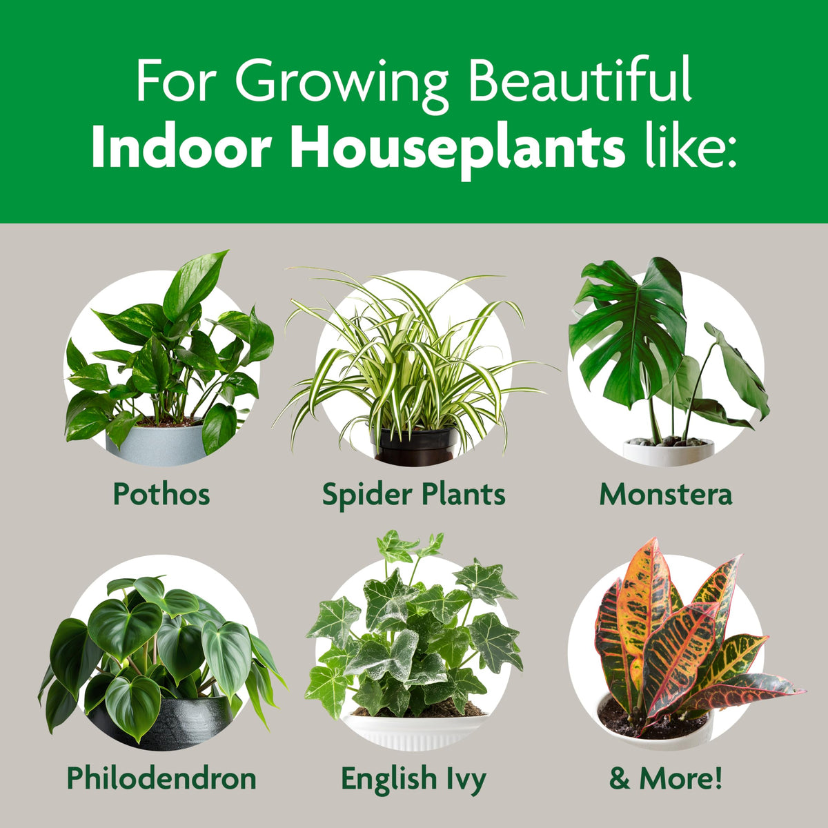 Miracle-Gro Indoor Plant Grow, Feed & Protect Houseplant Care Bundle Father Jim Norris notebooks