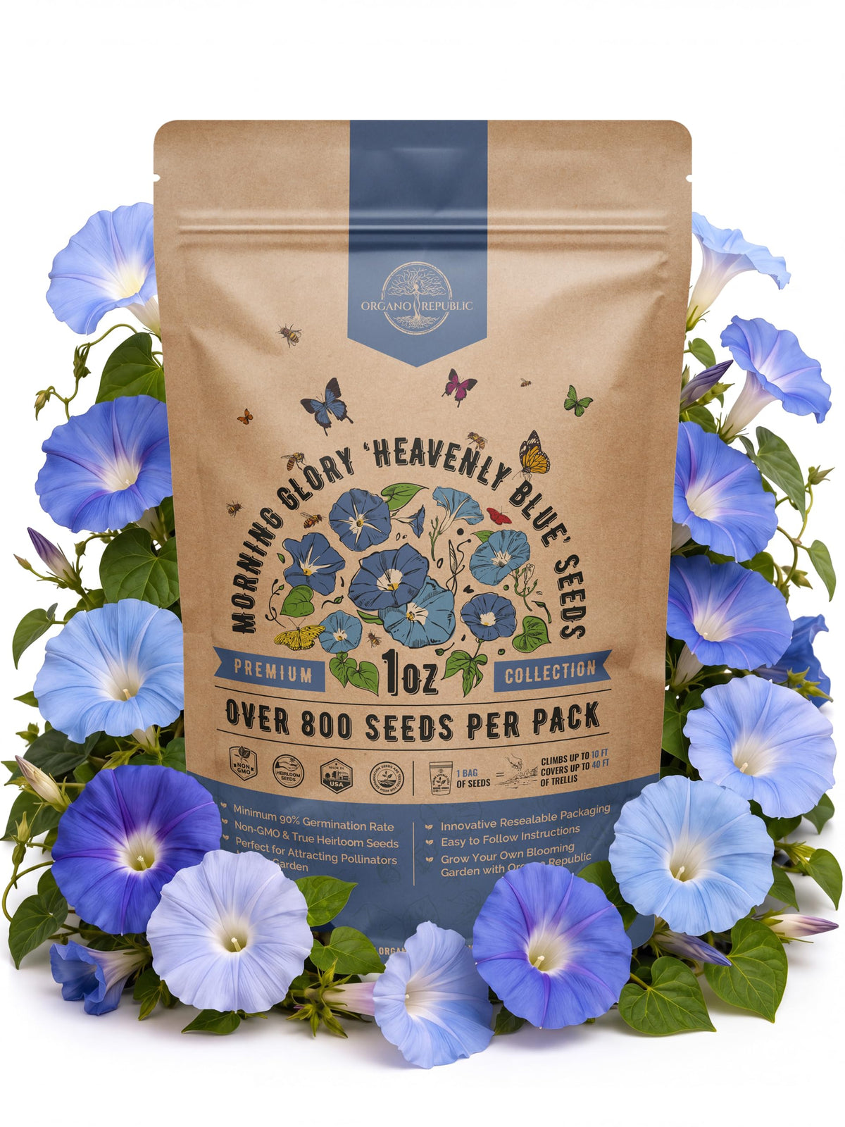 Cosmos Flower Seeds Pack 1 oz - 4,500 Non-GMO Heirloom Annual Seeds for Planting Indoor & Outdoor Gardening, Flower Seed for Garden in Resealable Packet, Floral Mix for Pollinators Perennial Mix Father Jim Norris notebooks