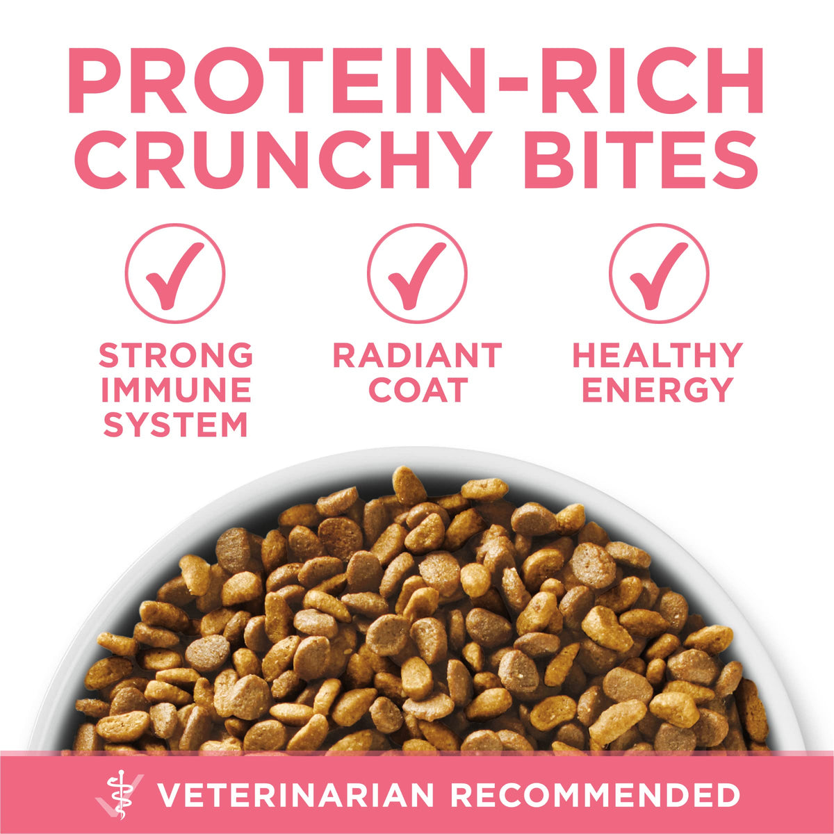 Purina ONE High Protein Natural Kitten Dry Cat Food, 7 lb Bag