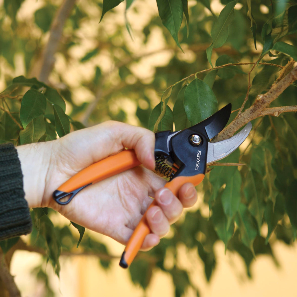Fiskars 2-Piece Garden Tool Set, Pruning Shears & Vegetable Scissors Father Jim Norris notebooks