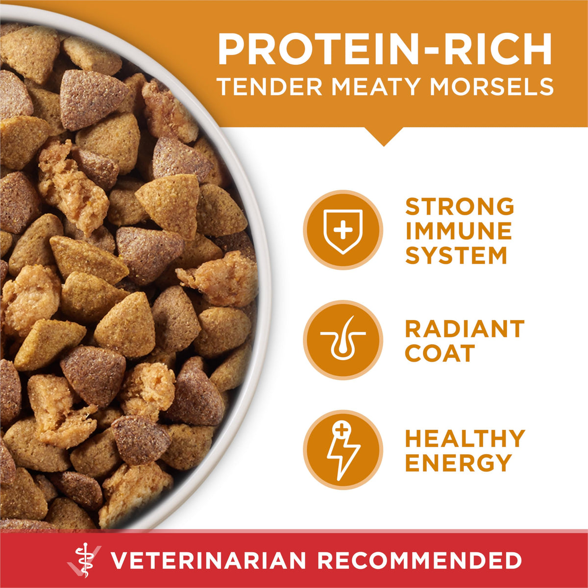 Purina ONE Lamb and Rice Formula Dry Dog Food for Digestive Support
