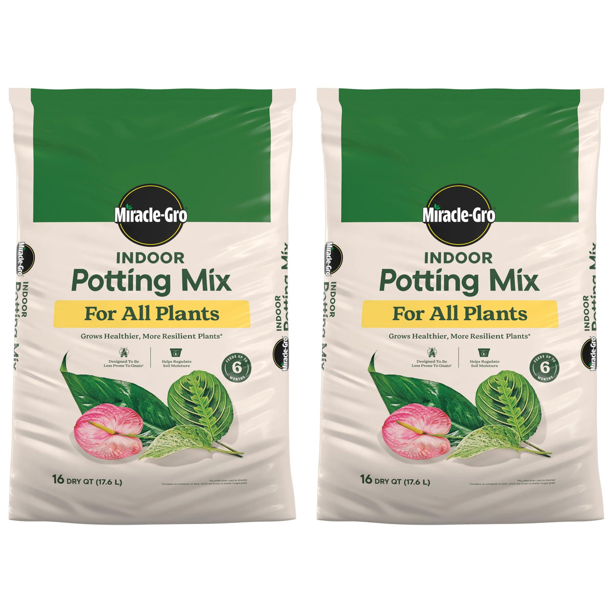 Miracle-Gro Indoor Plant Grow, Feed & Protect Houseplant Care Bundle Father Jim Norris notebooks