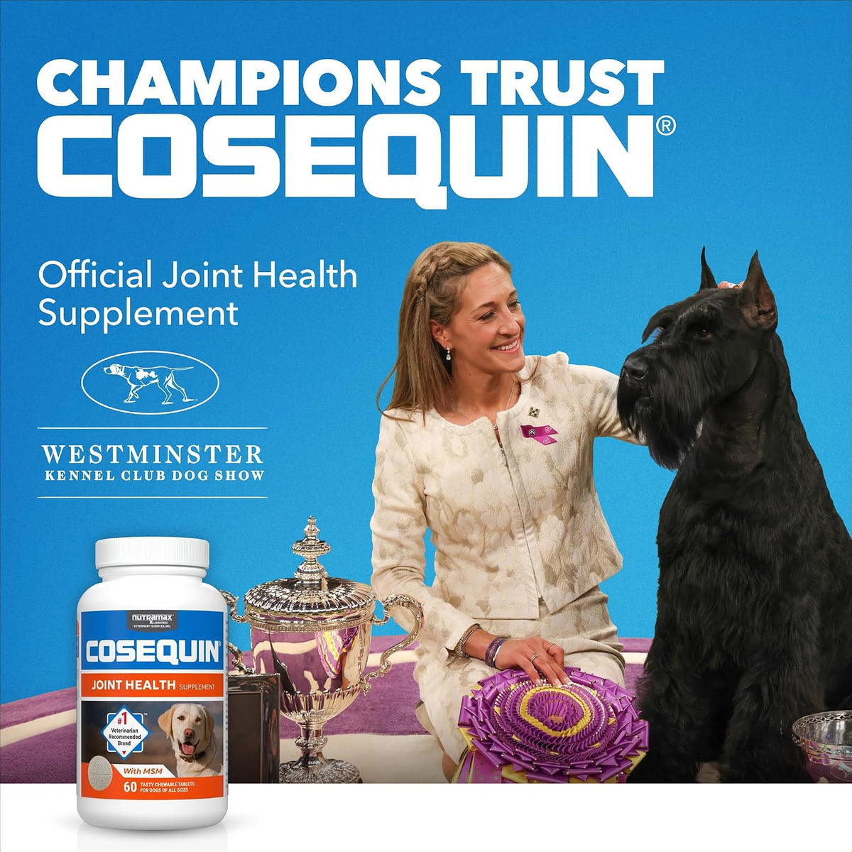 Nutramax Cosequin Joint Supplement for Dogs, Chewable Tablets, 132ct Father Jim Norris notebooks