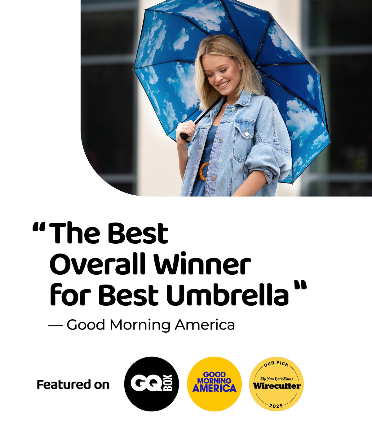 Windproof Travel Umbrella
