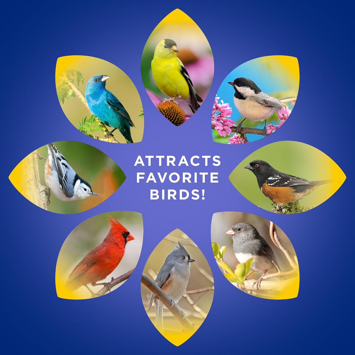 Audubon Park Extreme Variety Wild Bird Seed for Outside Feeders, 15-lb. Bag Father Jim Norris notebooks