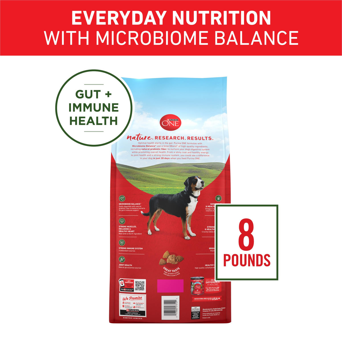 Purina ONE Lamb and Rice Formula Dry Dog Food for Digestive Support