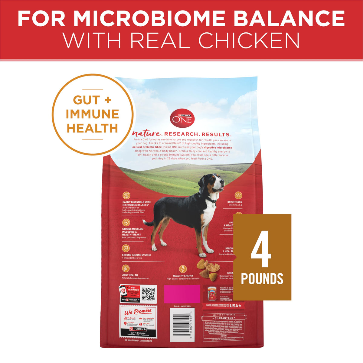 Purina ONE Lamb and Rice Formula Dry Dog Food for Digestive Support