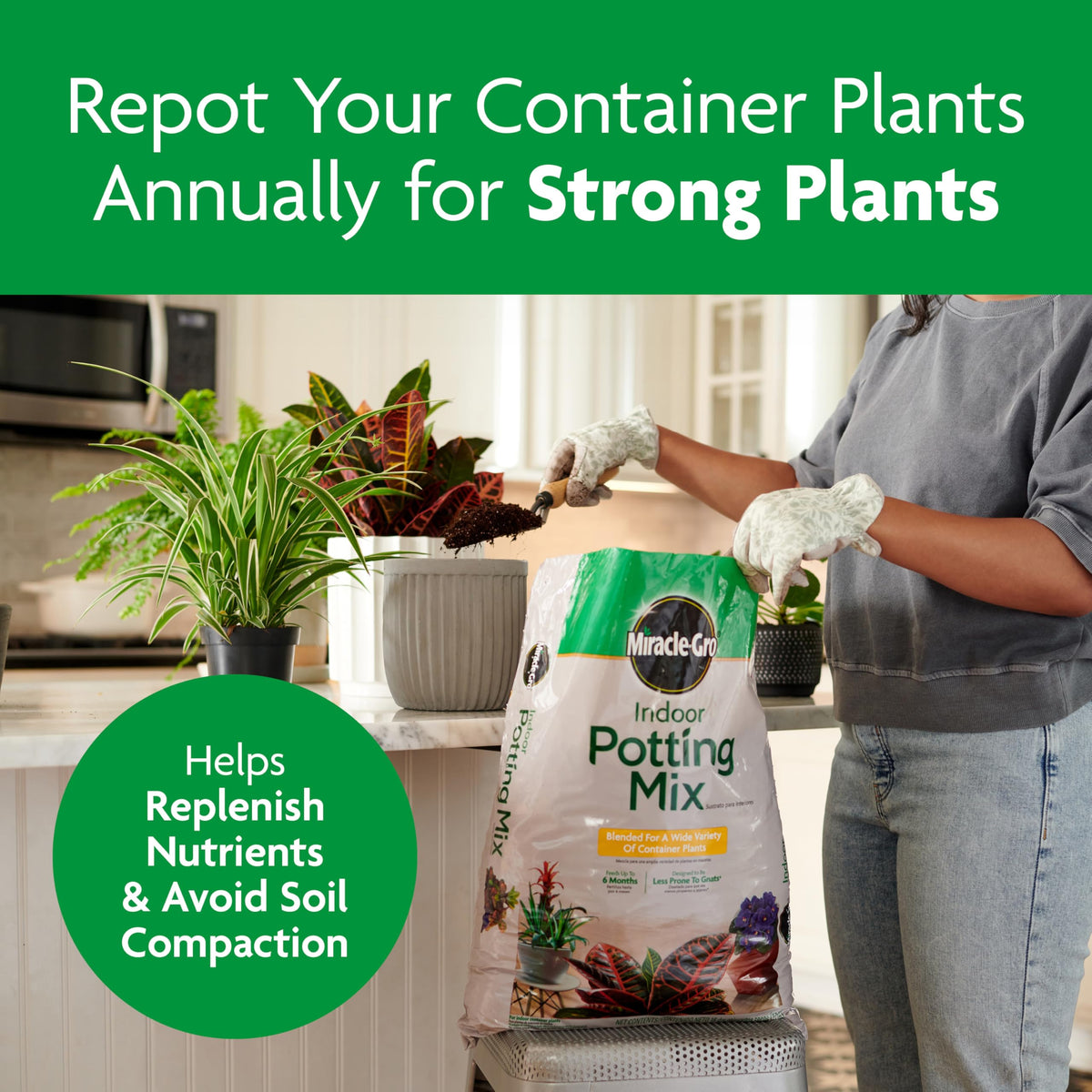 Miracle-Gro Indoor Plant Grow, Feed & Protect Houseplant Care Bundle Father Jim Norris notebooks