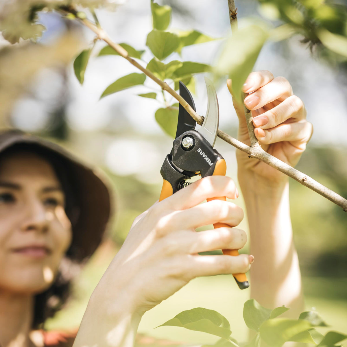 Fiskars 2-Piece Garden Tool Set, Pruning Shears & Vegetable Scissors Father Jim Norris notebooks
