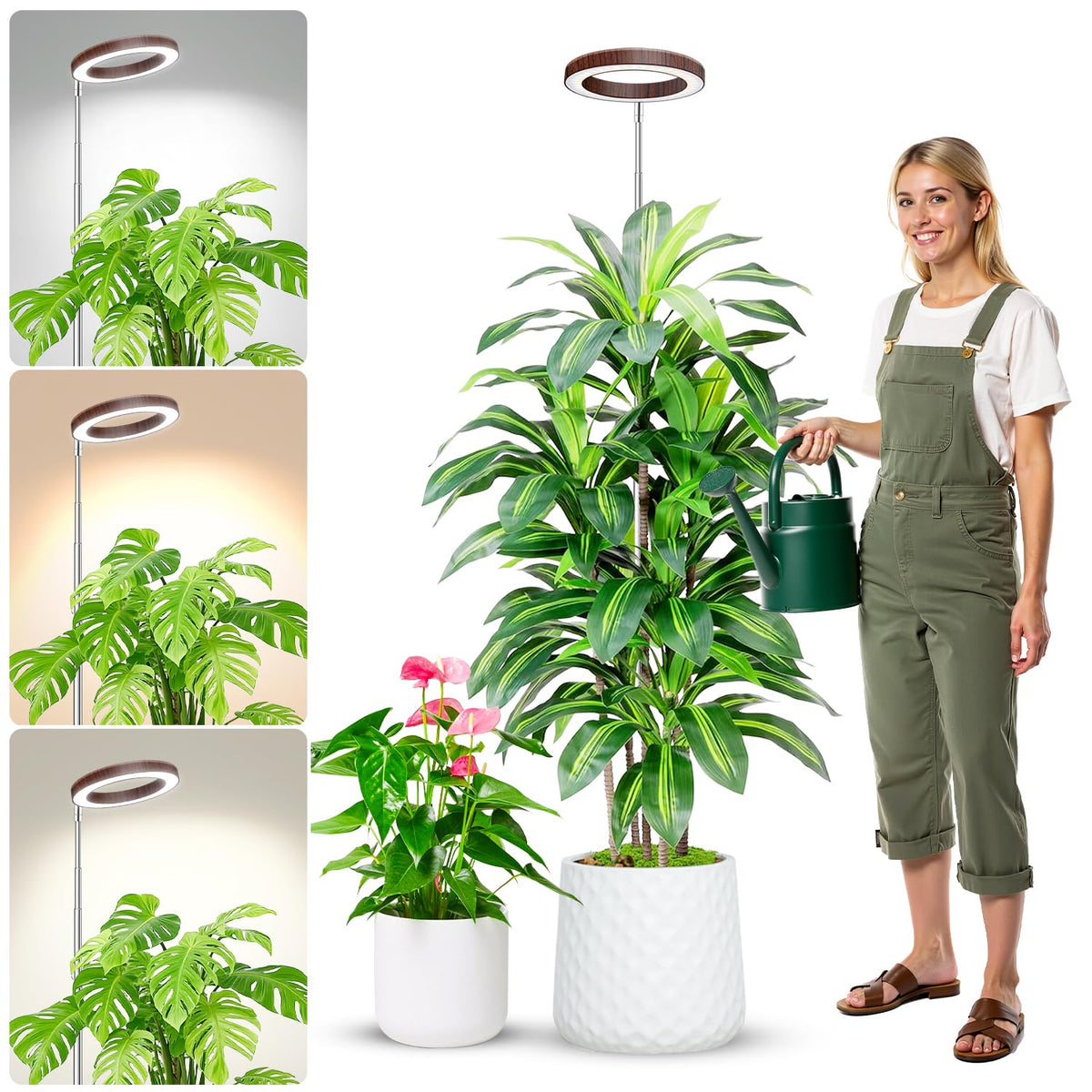 Aokrean Grow Lights for Indoor Plants Growing, Full Spectrum with Base Father Jim Norris notebooks