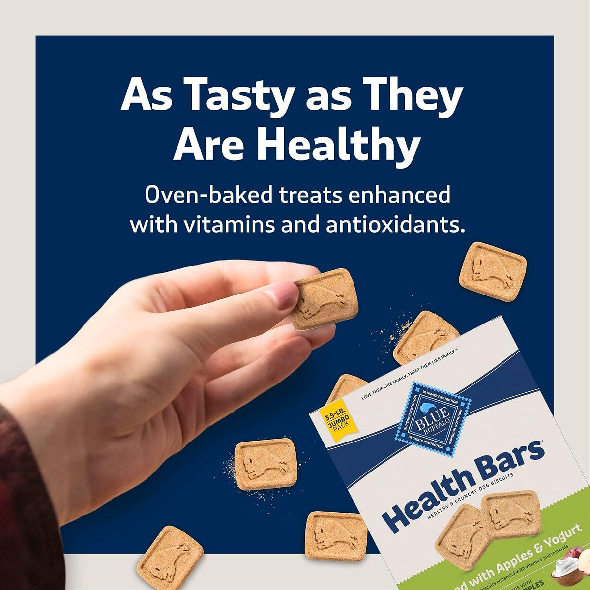Blue Buffalo Health Bars Pumpkin & Cinnamon Dog Biscuits, 16 oz Father Jim Norris notebooks