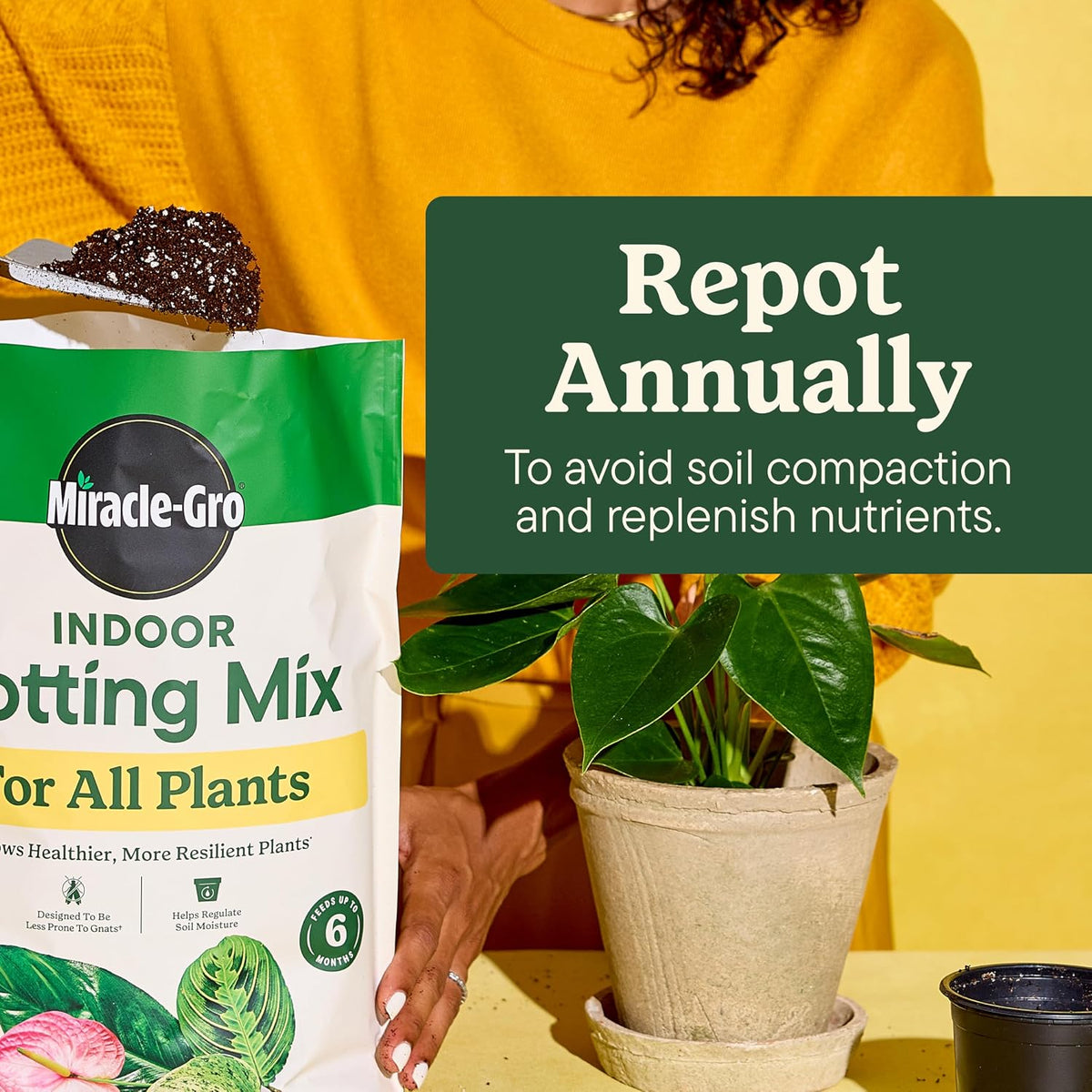 Miracle-Gro Indoor Plant Grow, Feed & Protect Houseplant Care Bundle Father Jim Norris notebooks