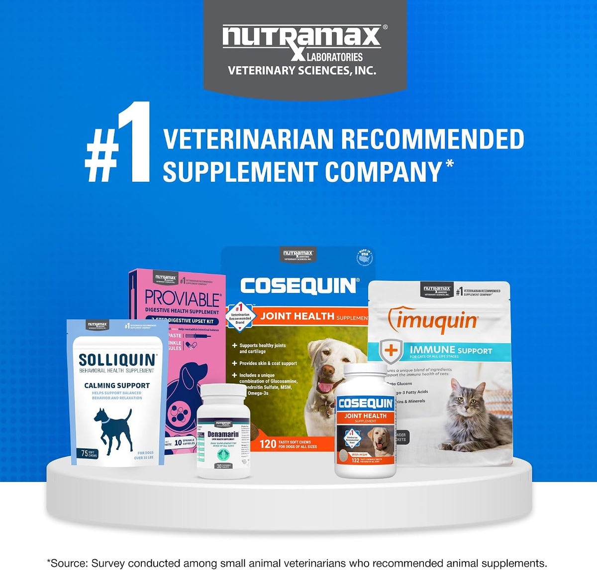 Nutramax Cosequin Joint Supplement for Dogs, Chewable Tablets, 132ct Father Jim Norris notebooks
