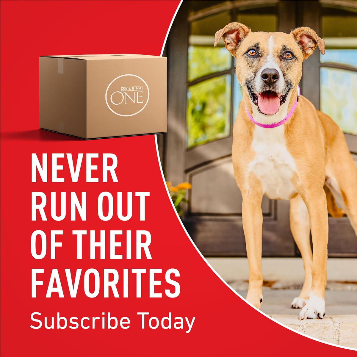 Purina ONE Lamb and Rice Formula Dry Dog Food for Digestive Support
