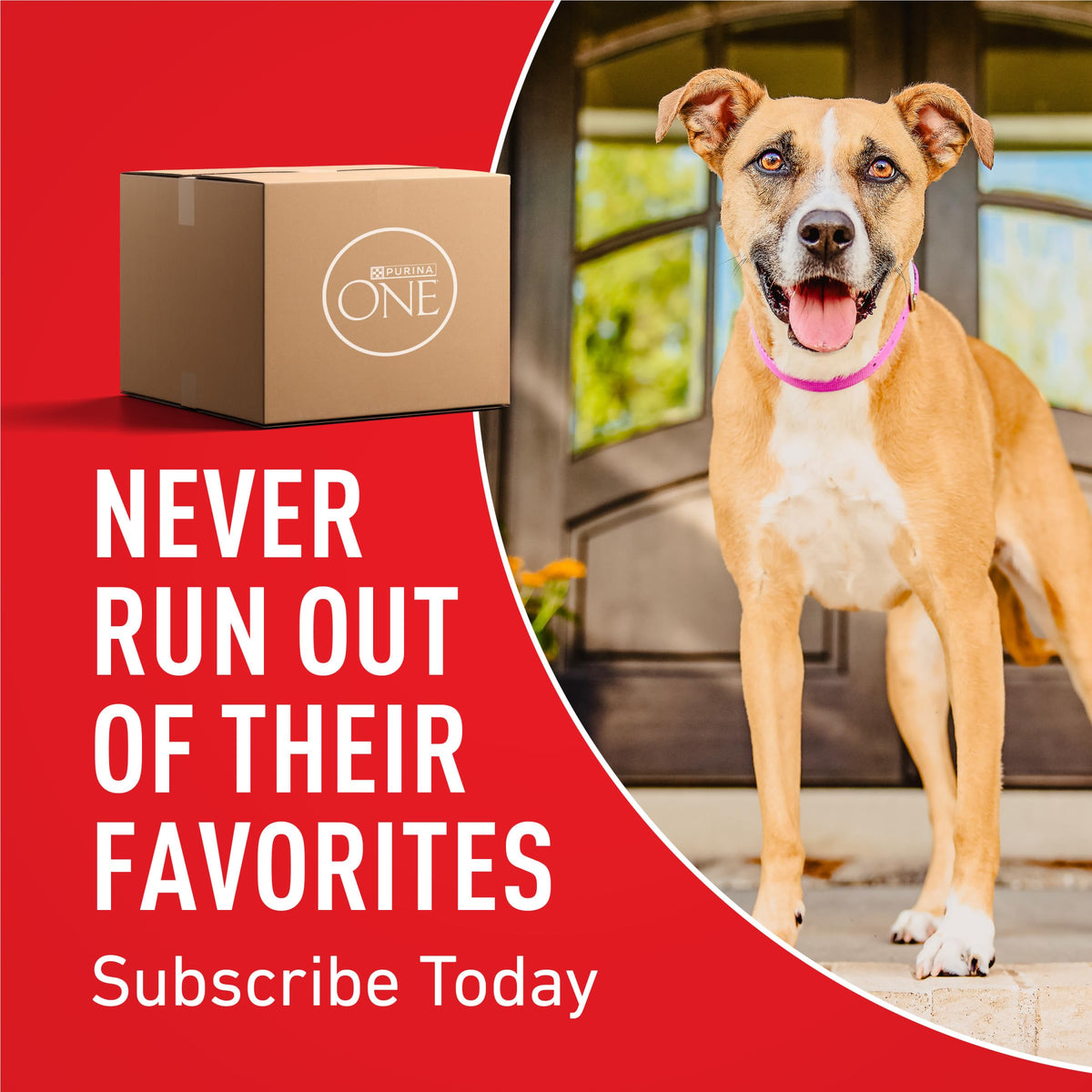 Purina ONE Lamb and Rice Formula Dry Dog Food for Digestive Support