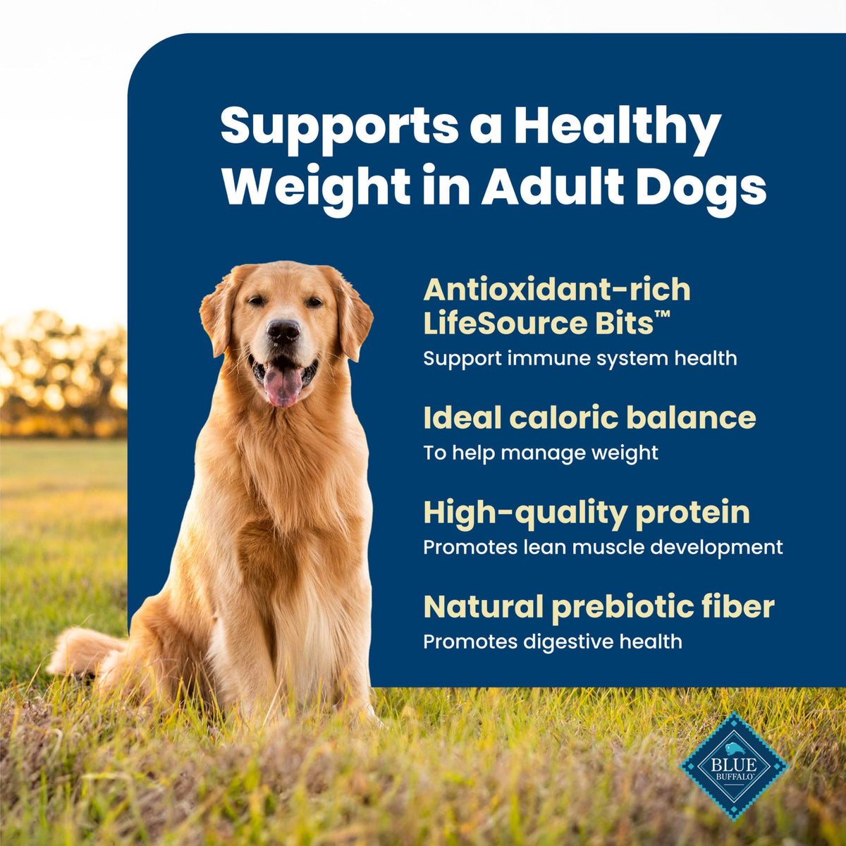 Blue Buffalo Life Protection Formula Chicken Adult Dry Dog Food, 5 lb Father Jim Norris notebooks