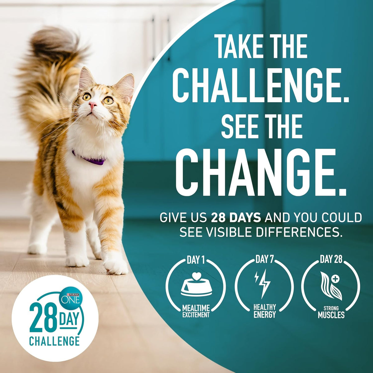 Purina ONE Natural Indoor Dry Cat Food, +Plus Indoor Advantage