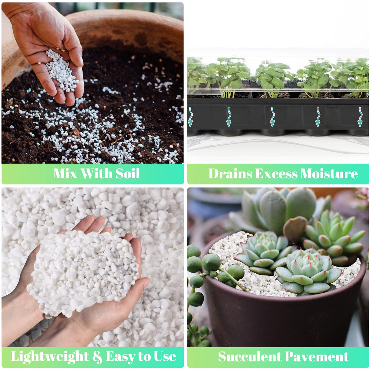 Legigo 4 Quarts Organic Perlite for Plants Indoor, Soil Mix Amendment Father Jim Norris notebooks