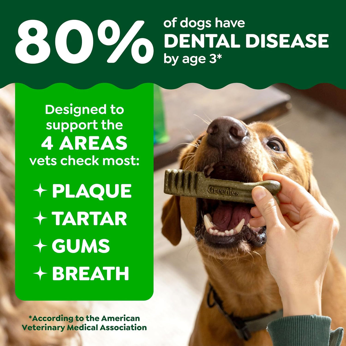 Greenies Teenie Original Natural Dental Dog Treats, Chicken, 96 Count Father Jim Norris notebooks