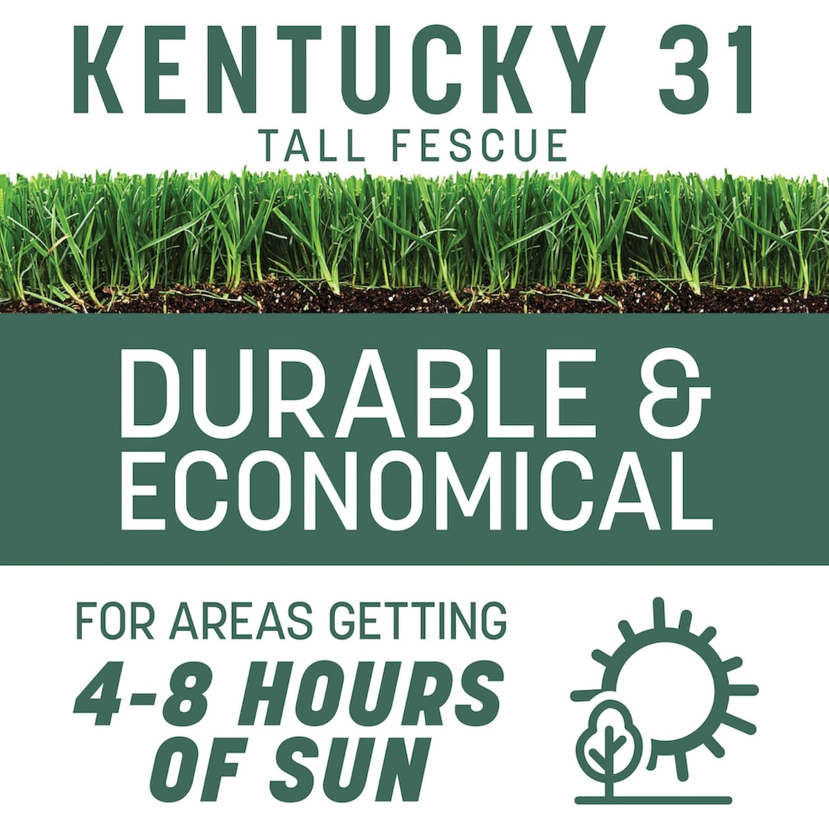 Pennington Kentucky 31 Tall Fescue Grass Seed, Drought-Resistant, 7 LB Father Jim Norris notebooks