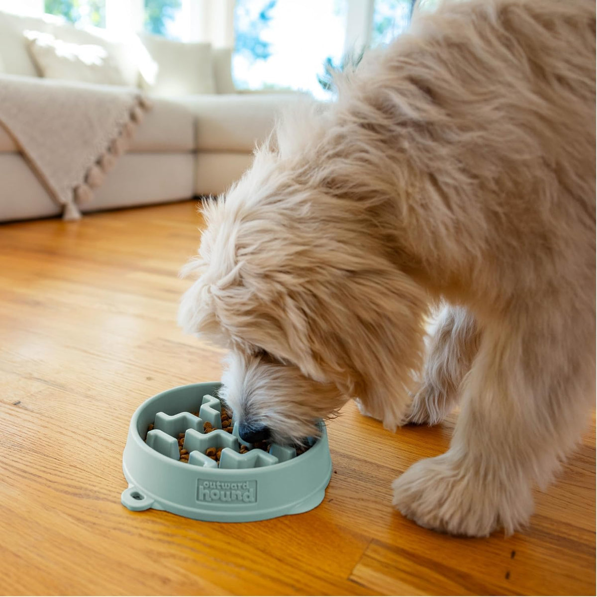 Outward Hound Fun Feeder Slo Bowl Dog Slow Feeder, Notch, Sage, 11.8"