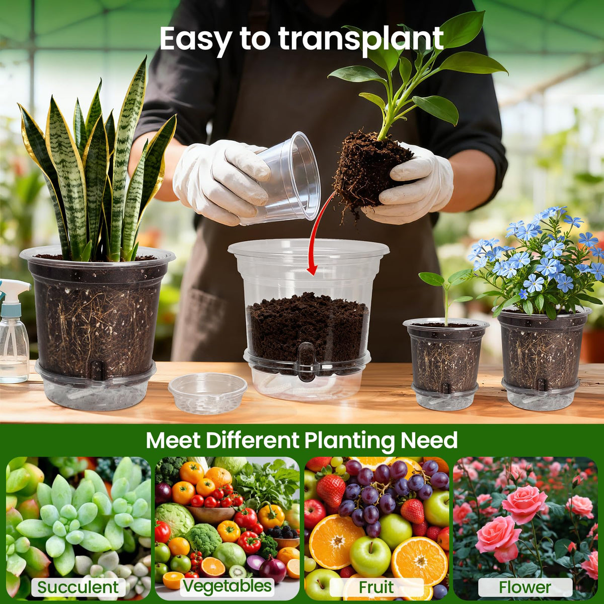 Bluepro Clear Nursery Pots with Humidity Domes, 4 Inch, 30-Pack Father Jim Norris notebooks
