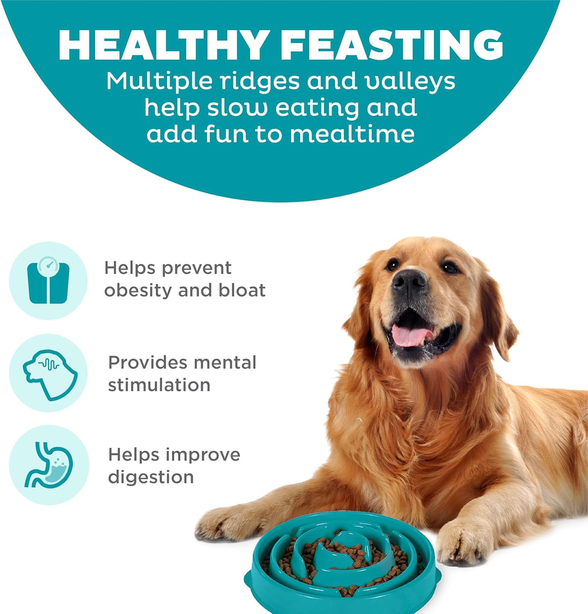 Outward Hound Fun Feeder Slo Bowl Dog Slow Feeder, Notch, Blue, 8.8"