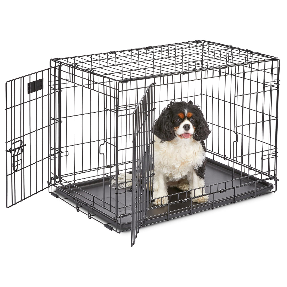 Midwest 36-Inch Single Door iCrate, for Medium-Large Breeds, 41-70 lbs