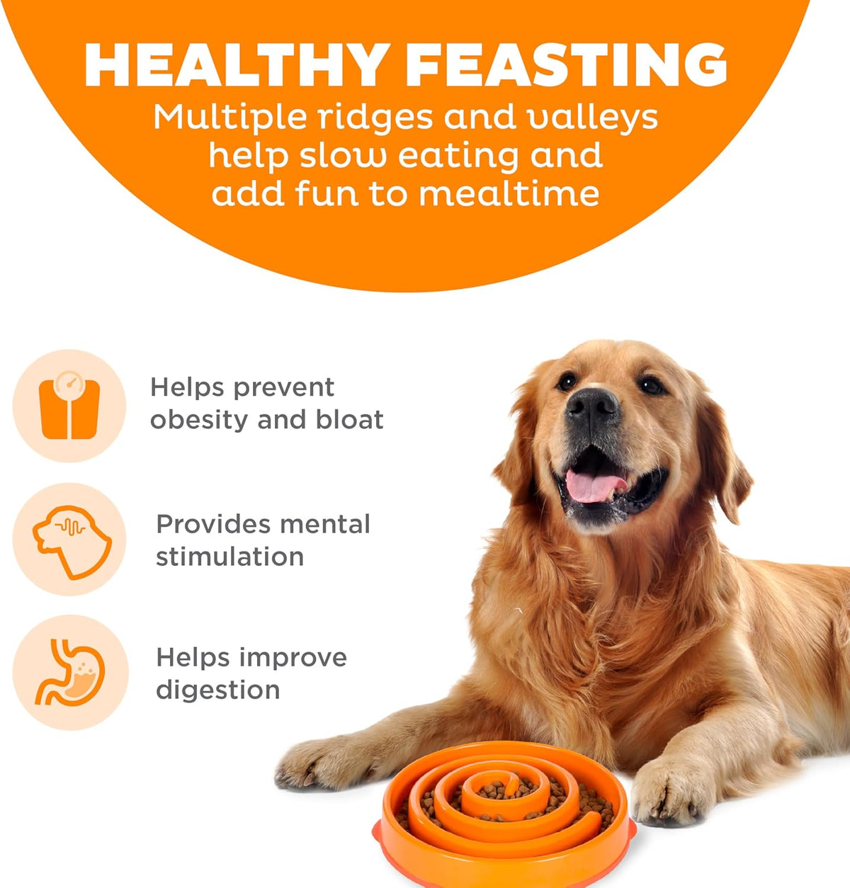 Outward Hound Fun Feeder Slo Bowl Dog Slow Feeder, Notch, Blue, 8.8"