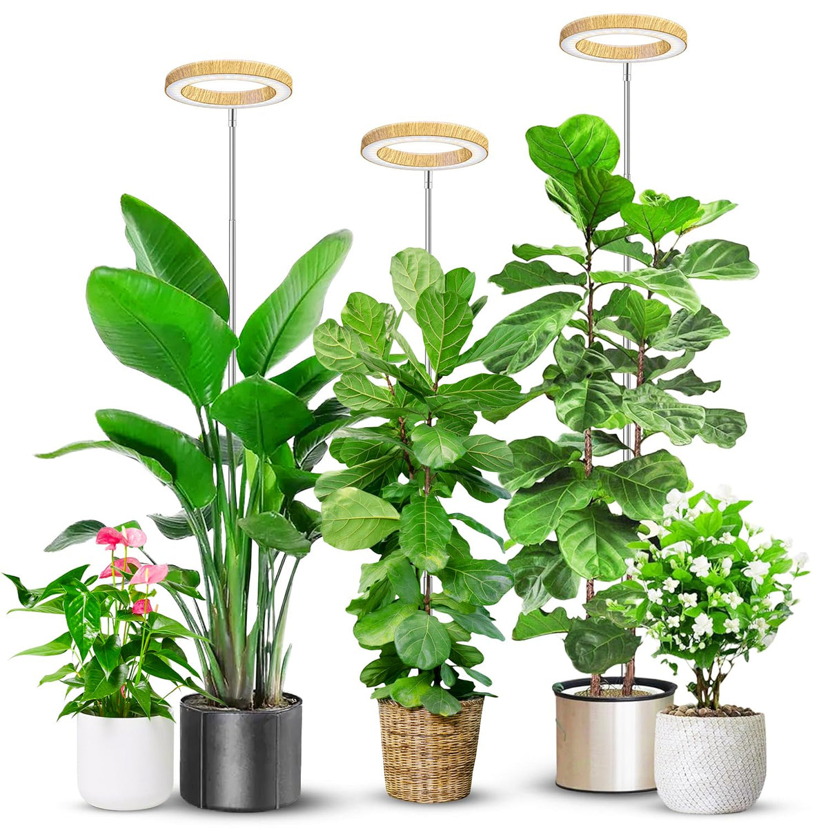 Aokrean Grow Lights for Indoor Plants Growing, Full Spectrum with Base Father Jim Norris notebooks