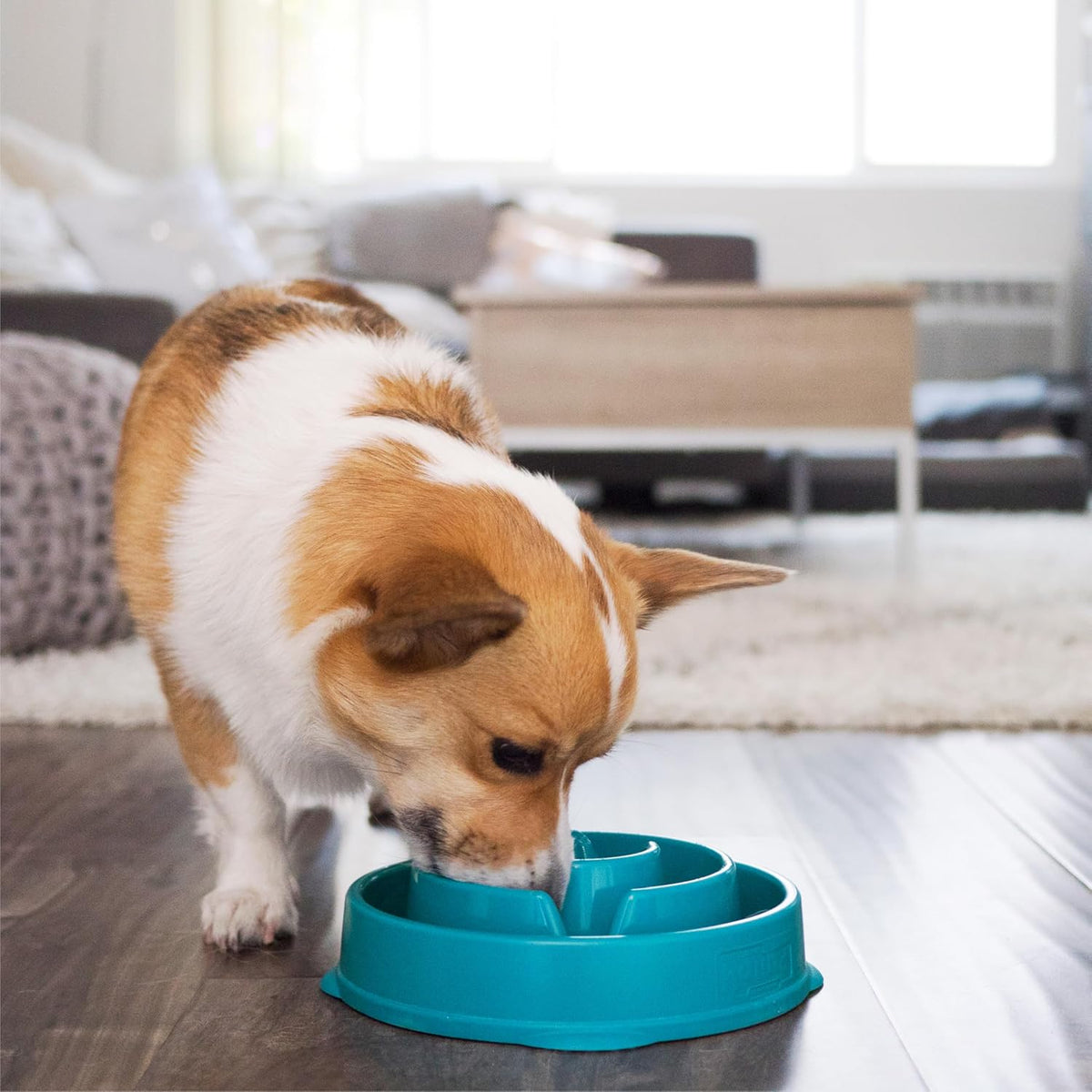 Outward Hound Fun Feeder Slo Bowl Dog Slow Feeder, Notch, Blue, 8.8"
