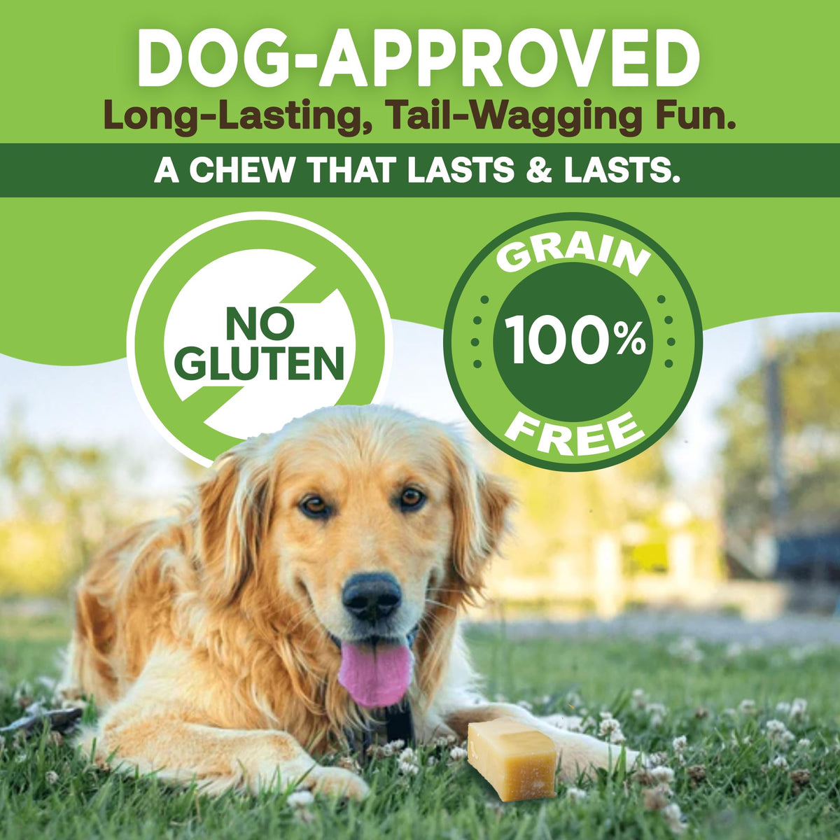 EcoKind Yak Cheese Himalayan Dog Chews, Yak Chews for Large Dogs, 4-5 Bones