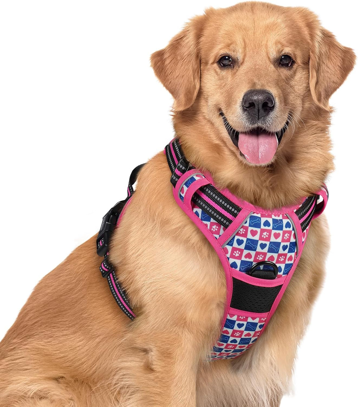 rabbitgoo Dog Harness, No Pull for Large Dogs with 2 Leash Clips, Pet Vest