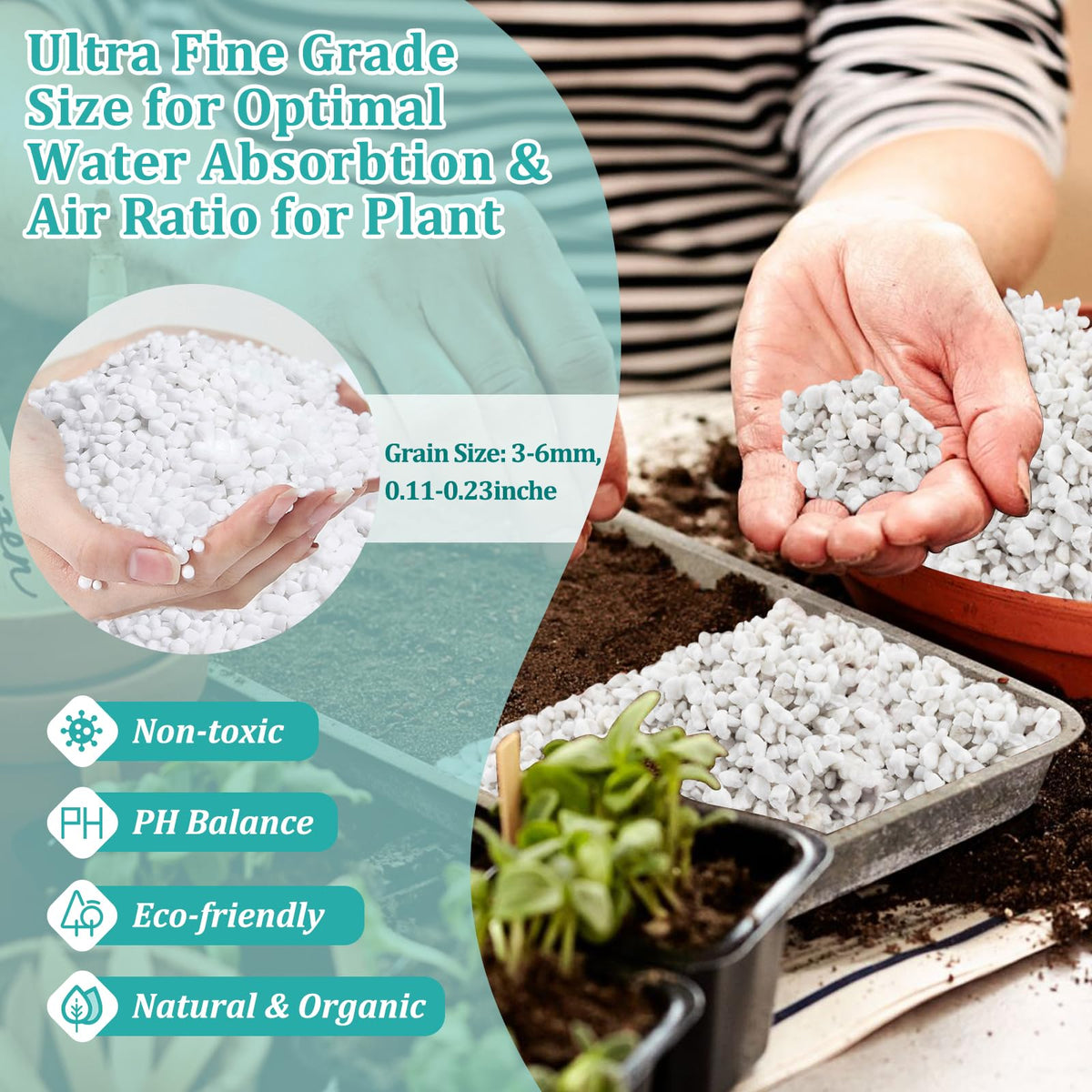 Legigo 4 Quarts Organic Perlite for Plants Indoor, Soil Mix Amendment Father Jim Norris notebooks