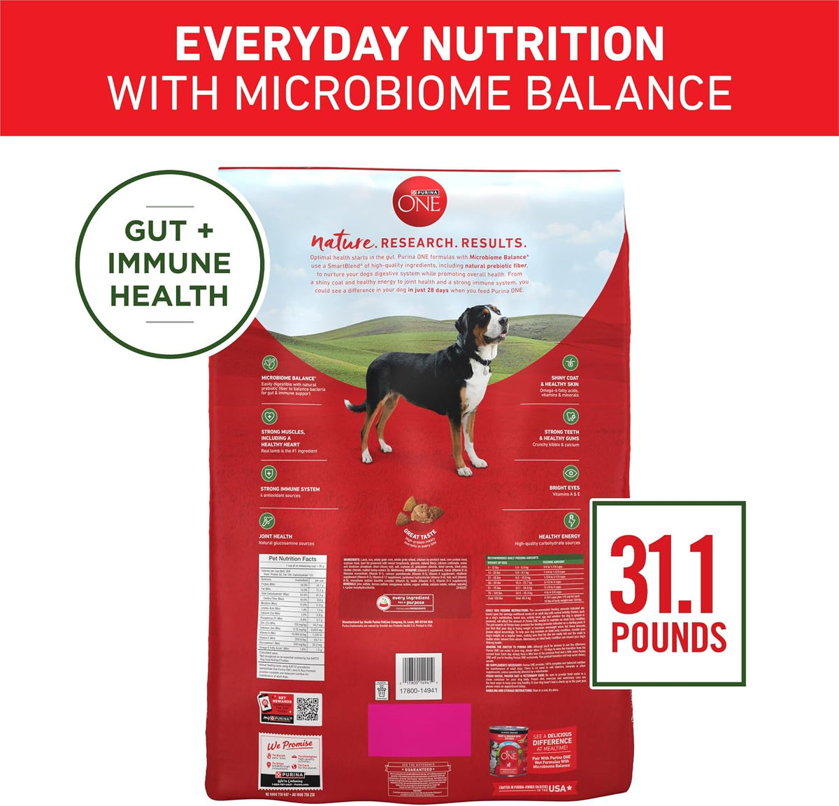 Purina ONE Lamb and Rice Formula Dry Dog Food for Digestive Support