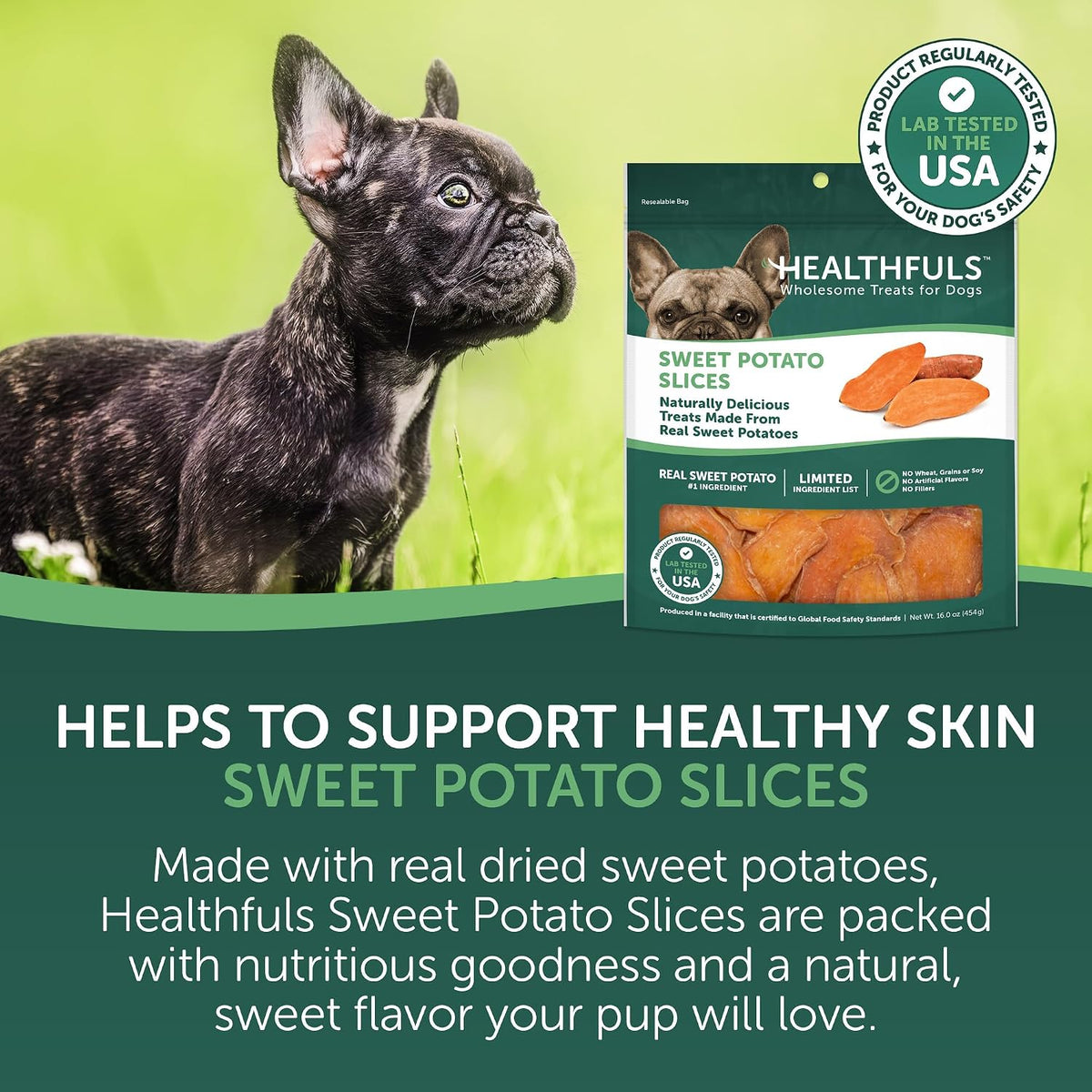 HEALTHFULS Real Dried Sweet Potato Slices, Grain Free Dog Treats, 16 oz