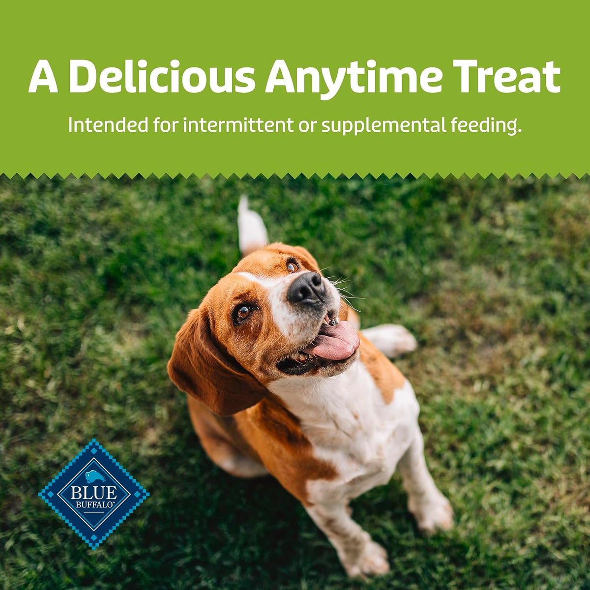 Blue Buffalo Health Bars Pumpkin & Cinnamon Dog Biscuits, 16 oz Father Jim Norris notebooks
