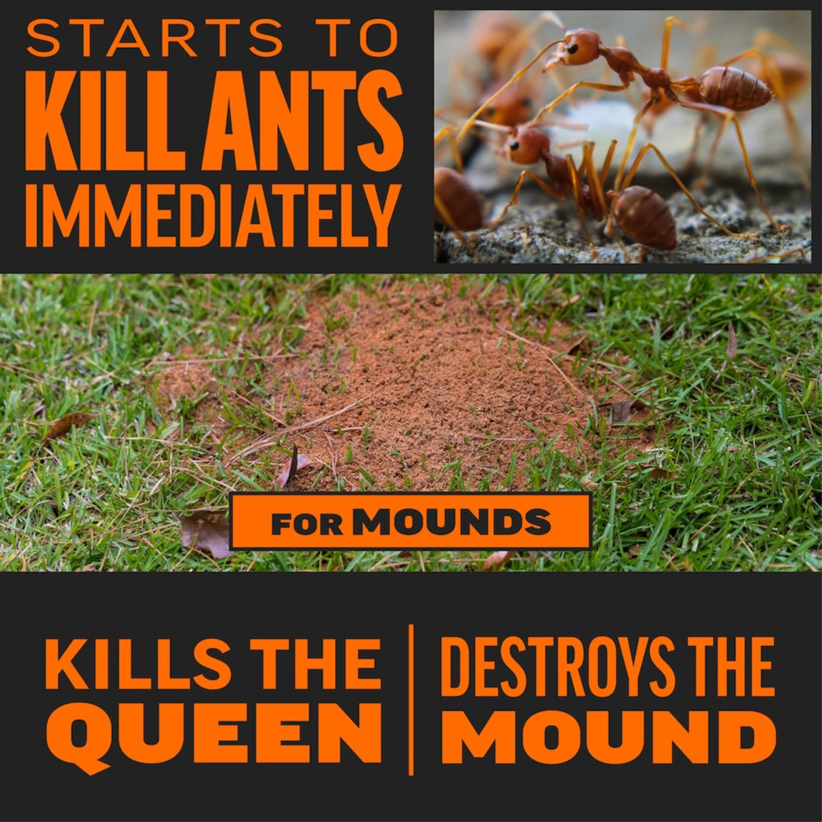 Amdro Fire Ant Killer for Mounds, 1 Lb Father Jim Norris notebooks