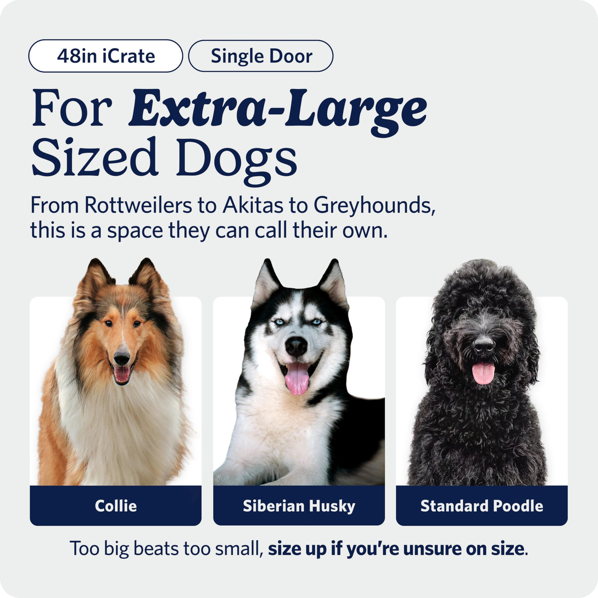 Midwest 36-Inch Single Door iCrate, for Medium-Large Breeds, 41-70 lbs