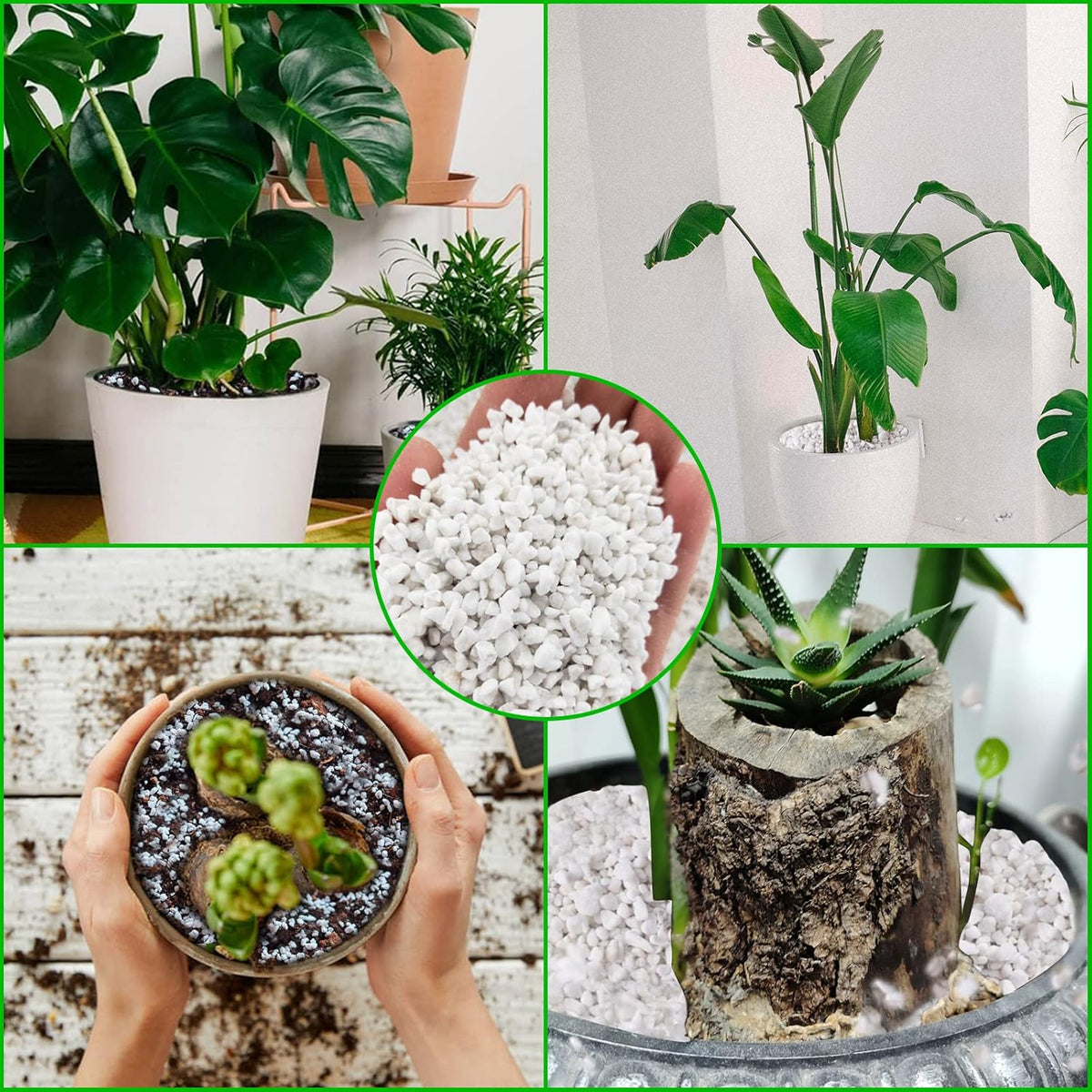 Legigo 4 Quarts Organic Perlite for Plants Indoor, Soil Mix Amendment Father Jim Norris notebooks