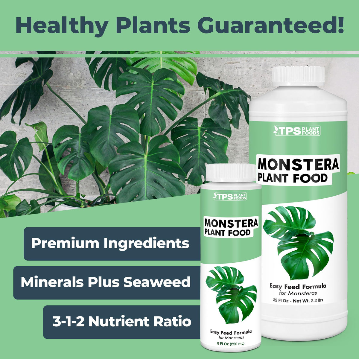 Lemon Tree Fertilizer – Liquid Plant Food for Healthy Growth & Blooms, 8 oz Father Jim Norris notebooks