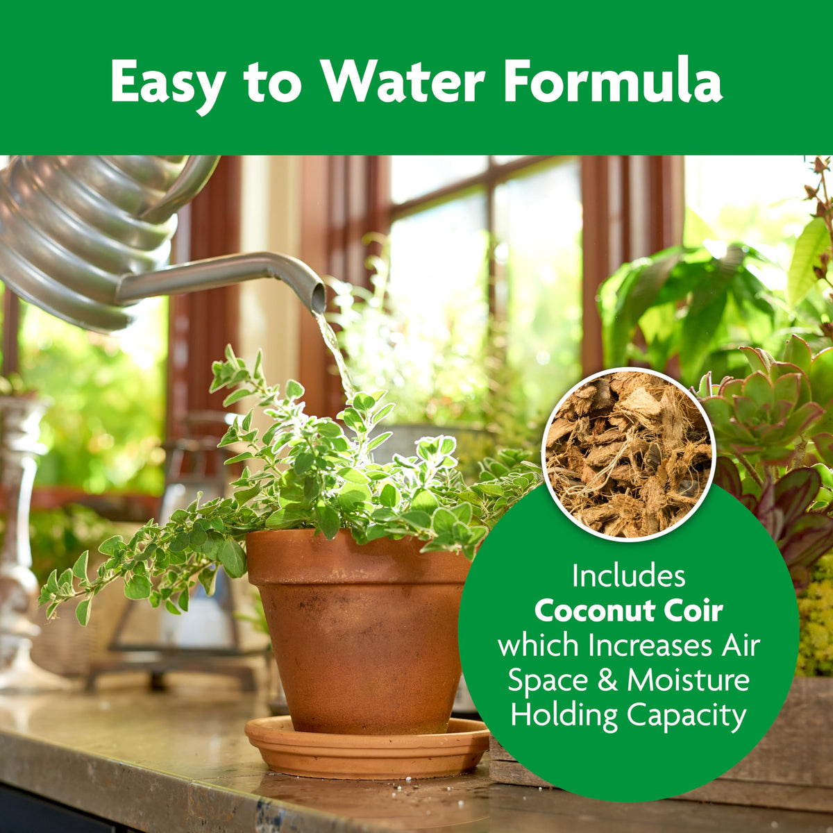 Miracle-Gro Indoor Plant Grow, Feed & Protect Houseplant Care Bundle Father Jim Norris notebooks
