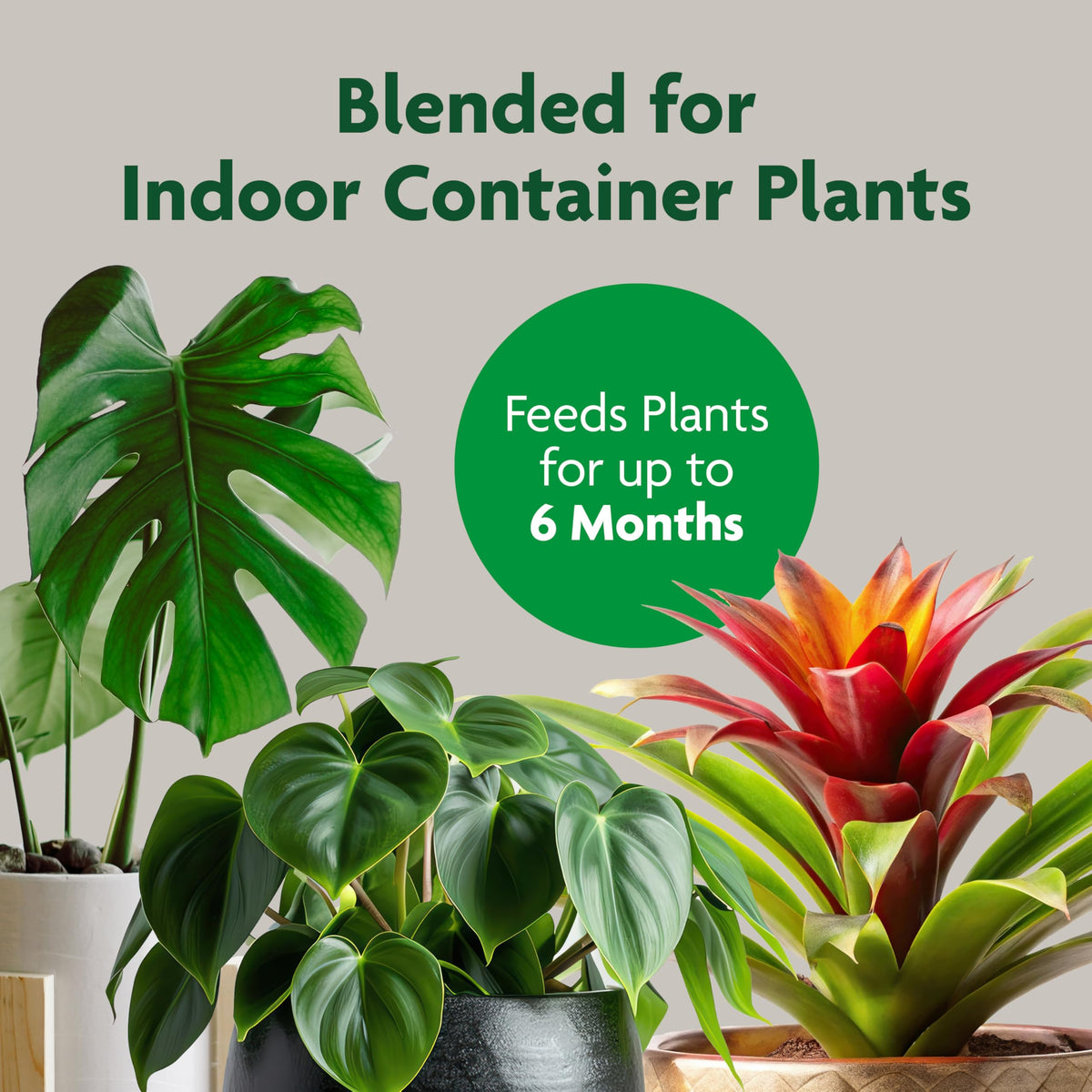 Miracle-Gro Indoor Plant Grow, Feed & Protect Houseplant Care Bundle Father Jim Norris notebooks