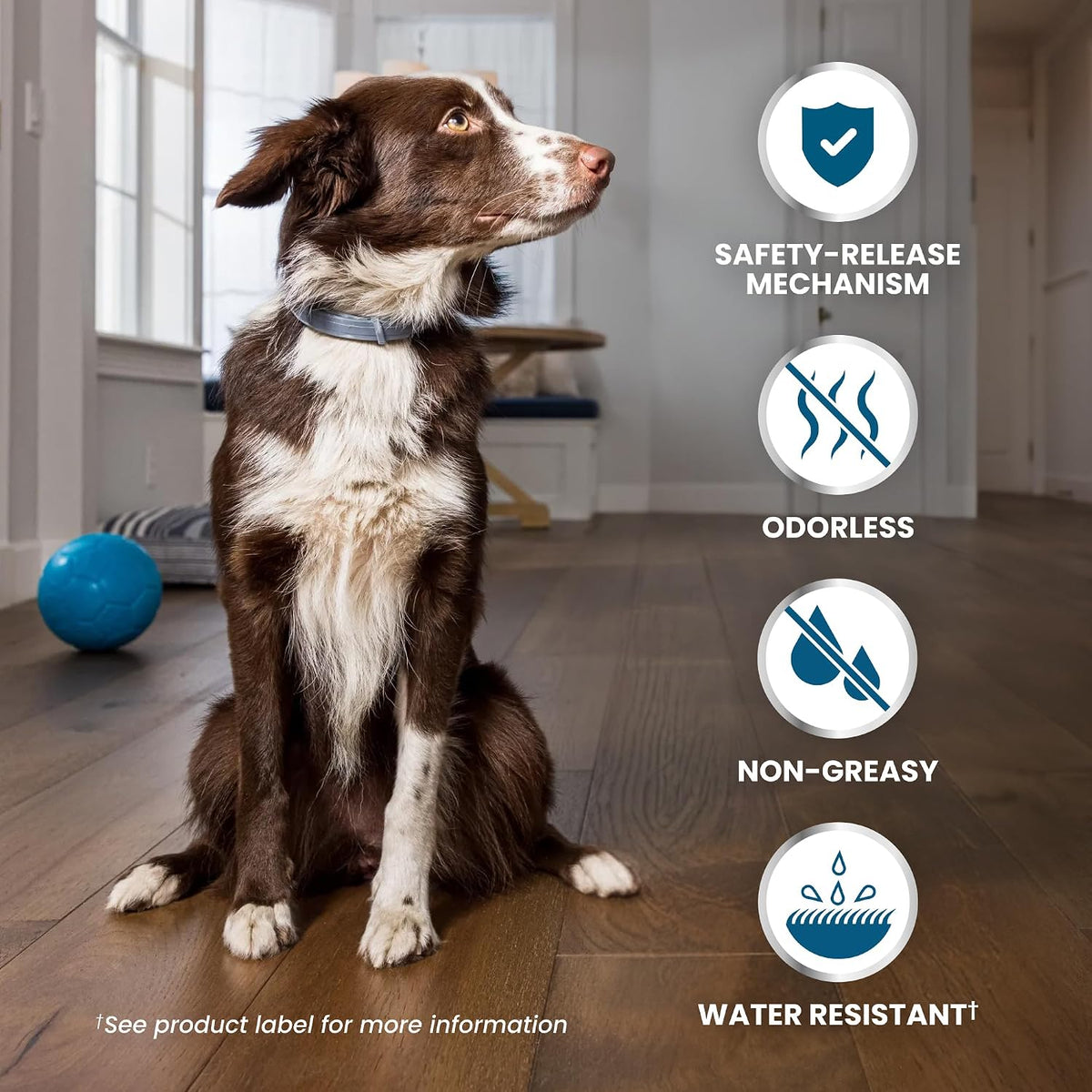 Seresto 8-Month Flea & Tick Collar for Large Dogs Over 18 lbs., 1ct