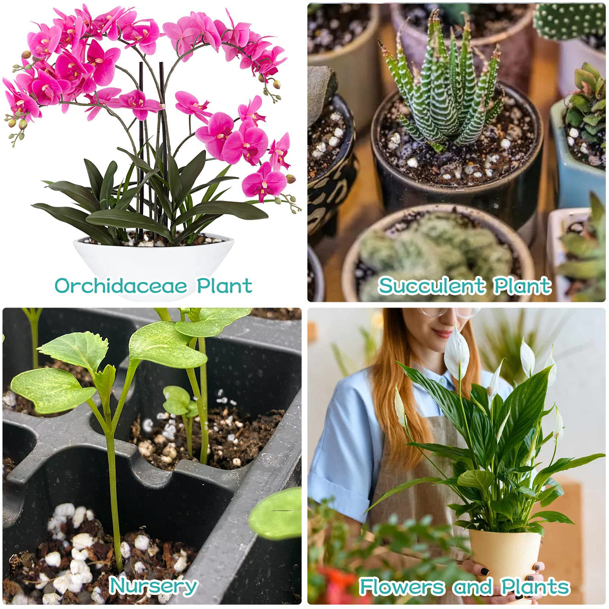 Legigo 4 Quarts Organic Perlite for Plants Indoor, Soil Mix Amendment Father Jim Norris notebooks